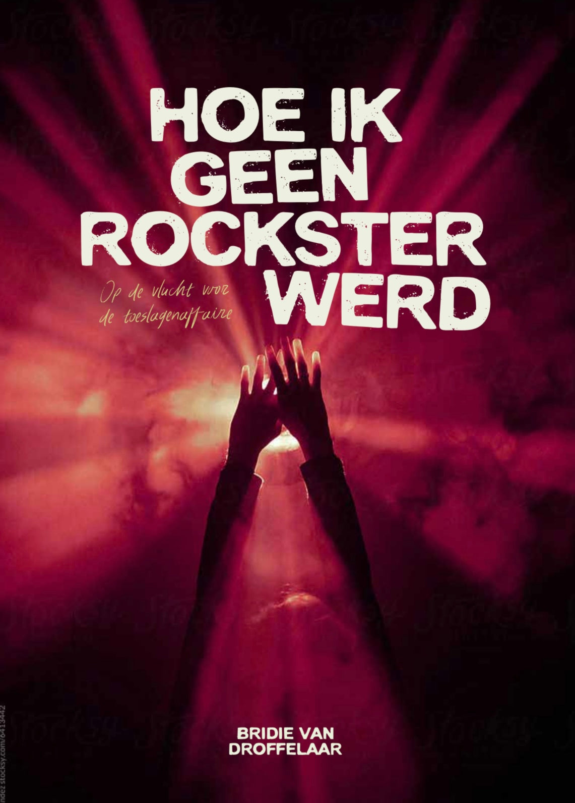 Hoe ik geen rockster werd
